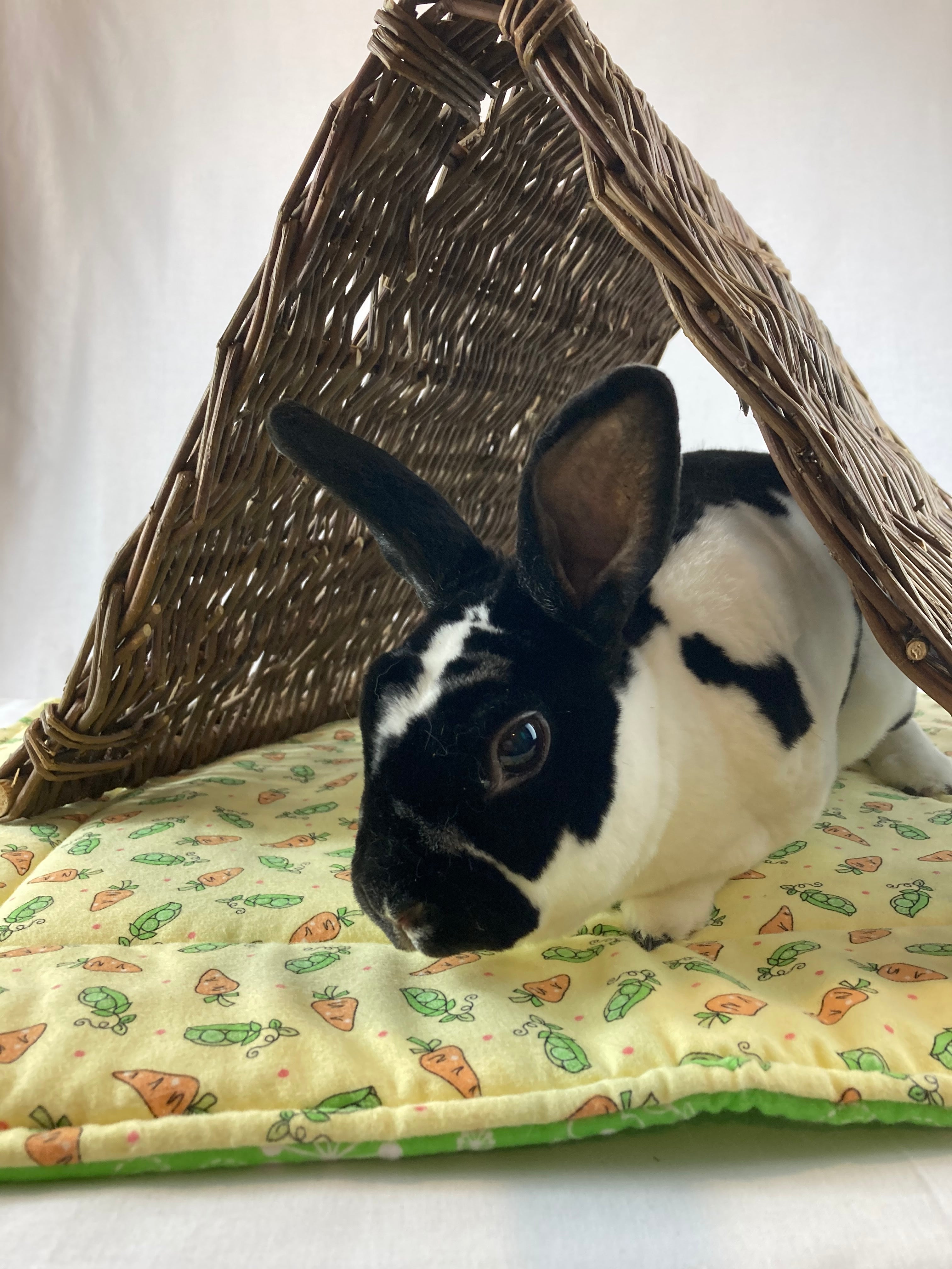 bunny tent Binky Bunny Willow Tent – Rhody Bun Mobile Market