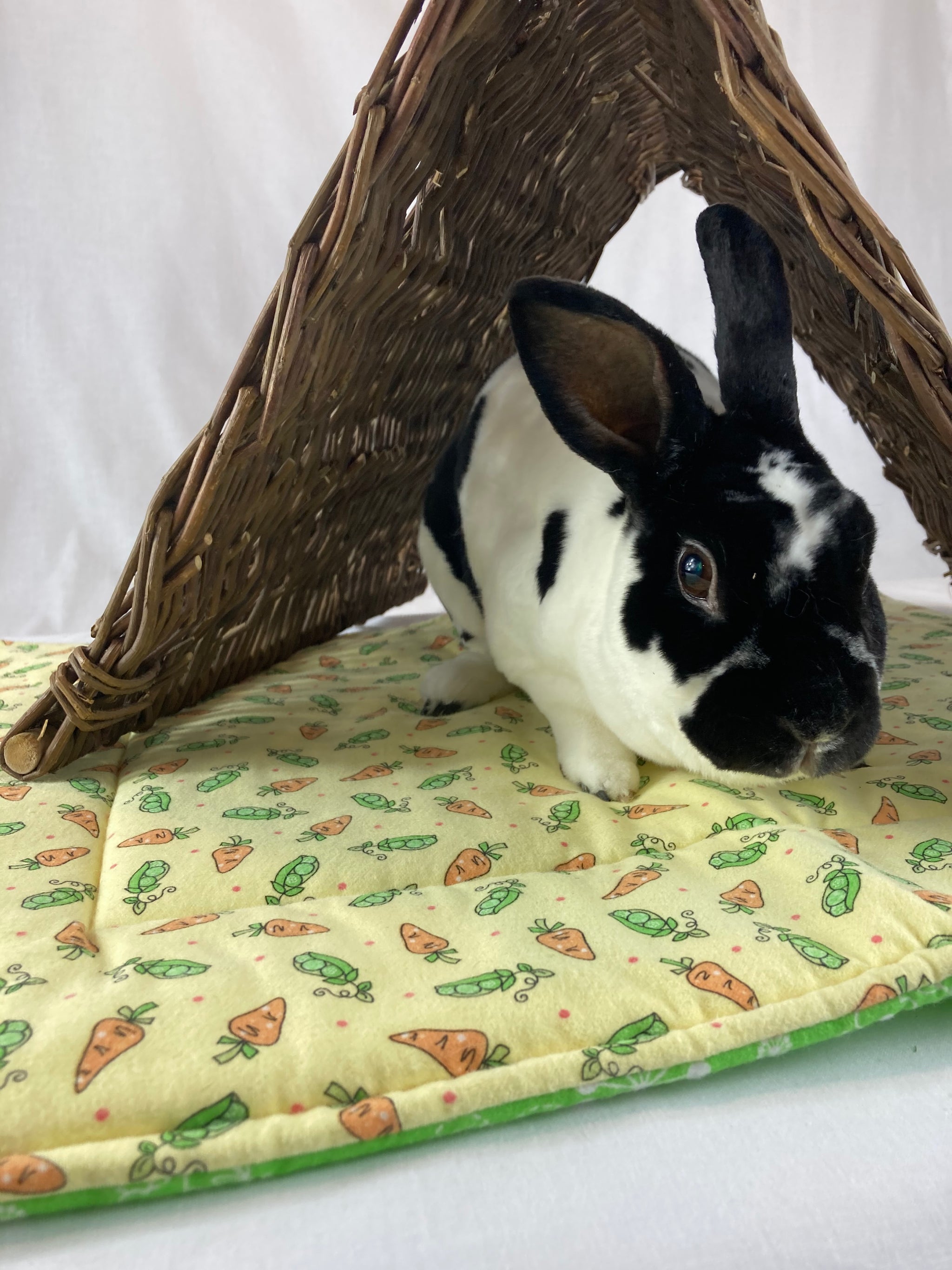 willow tent Binky Bunny Willow Tent – Rhody Bun Mobile Market